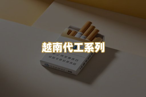 越南代工系列